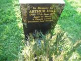 image of grave number 226216